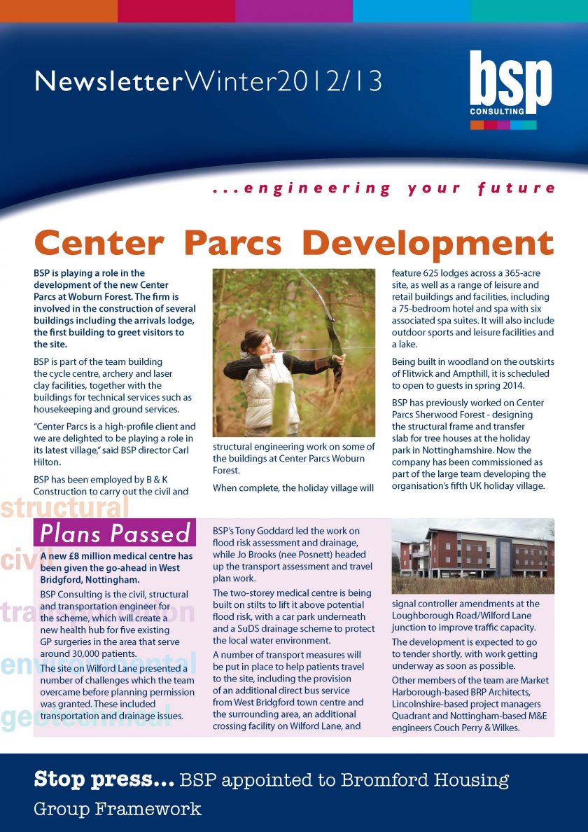 BSP Consulting Winter Newsletter 2012