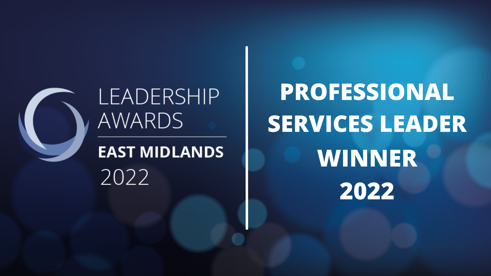 Professional Services winner 2022 - BSP Consulting